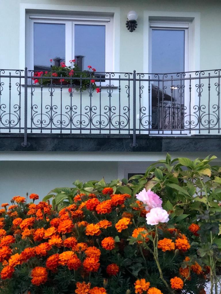 Sobe Apartma Dobe Bled Esterno foto